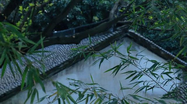 如果你已經(jīng)計劃了很長時間,但沒有選擇正確的自建房圖紙,那么你可以看看這種類型的公寓,它將很快在2020年成為一個爆發(fā)模式。